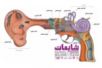 اجرای نمایش 