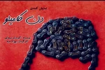 نمایش « دن کامیلو » به کار خود پایان داد 2