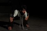 پیتو، کارگردان: شهرام و شایان سلطانی