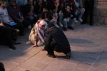 حکایت ماه و دولت، کارگردان: رامین حوریان
