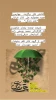 راه یابی آثار نمایشی از گروه تئاتر تکم، نیلوفران و ارسین شهرستان مرند به رویدادهای معتبر هنری کشور  2