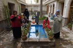 نمایش 