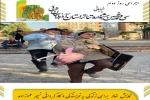 ۴ اثر در بخش صحنه‌ای و ۳ اثر در بخش خیابانی به اجرا درآمدند 2