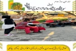 ۴ اثر در بخش صحنه‌ای و ۳ اثر در بخش خیابانی به اجرا درآمدند 3