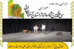 ۴ اثر در بخش صحنه‌ای و ۳ اثر در بخش خیابانی به اجرا درآمدند 8