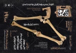 نمایش «دوستان کمُدی» در تئاتر شهر تبریز روی صحنه خواهد رفت 2